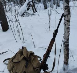 Карабин скс 