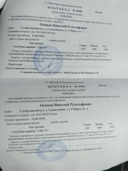 Карабин СКС