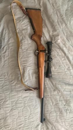 Карабин, СОБОЛЬ 22LR