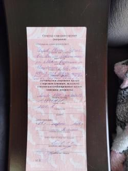  сайга мк 030 7,62х39