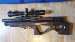 Крикет коротыш в 5,5