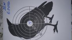 Крикет коротыш в 5,5