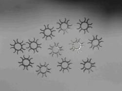 Куплю оригинальные мунклипы lom 13