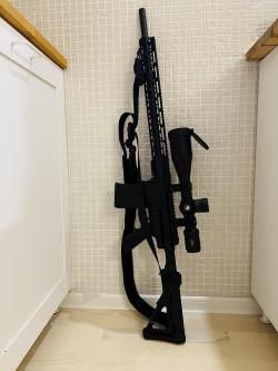 Kurbatov Arms R-710 (.308Win.)