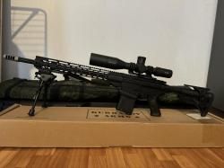 Kurbatov R710, AR-10