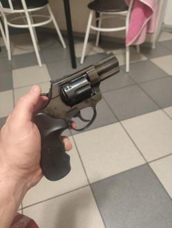 Курс бульдог
