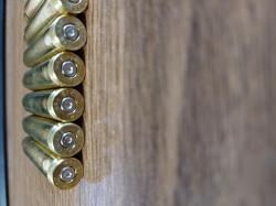 Латунные гильзы 223 Rem импорт