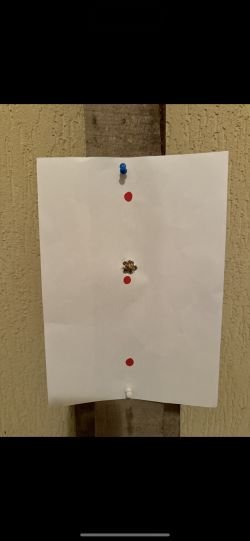 Леший 2 /7.62/ 450, обвес Begemot