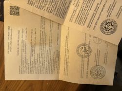 Леший 2 кал 7.62