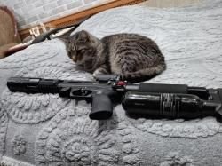 леший 2 компакт