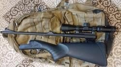 Лис , 223 кал, Ярославль