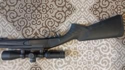 Лис , 223 кал, Ярославль