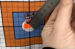 Лис 121 308 win