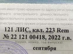 Лис 121