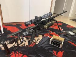 Lobaev DVL 10 M2 308win