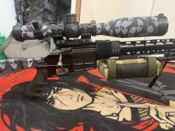 Lobaev DVL 10 M2 308win