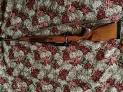 Лось- 4 кал. 308 win (7, 62×51) 