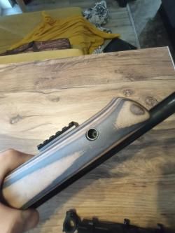 Лось 10( baikal 145)