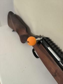 Лось 145 223 rem