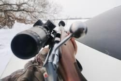 лось 145 308 кал