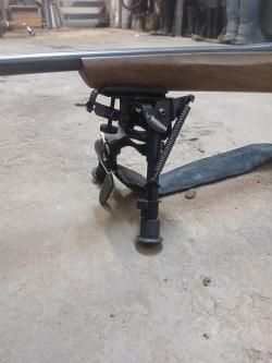 Лось 145 308 win