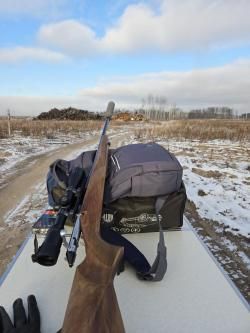 Лось 145 308 win