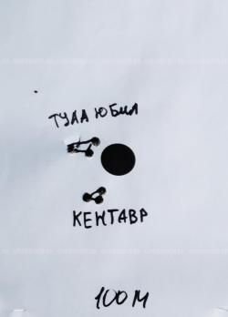 Лось 145 308 win