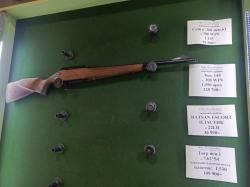 Лось 145 308
