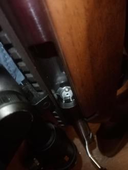 Лось 145, калибр 308 win, ложа - орех + оптический прицел