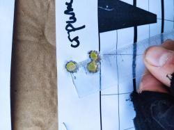 Лось 145 Ланкастер