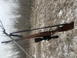 Лось 145 в 223 калибре