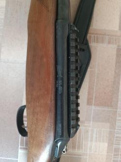 Лось 145 
