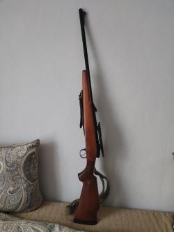 Лось 7-1
