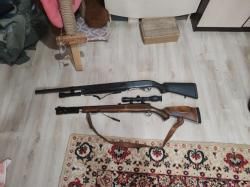 Лось 7 308