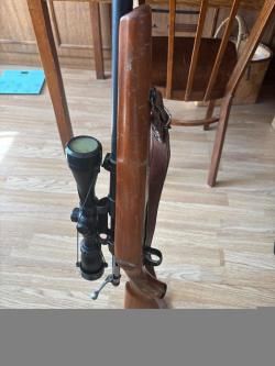 Лось 7
