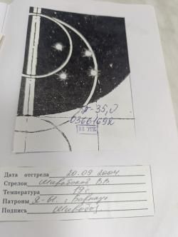Лось7-1
