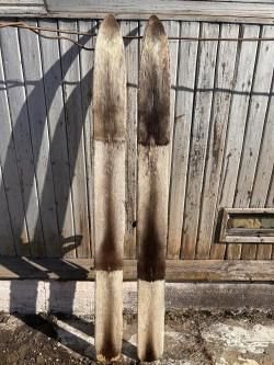 Лыжи охотничьи 