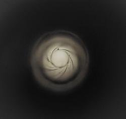 Магазинный карабин ТОЗ-78-01,22lr.+ оптика ПО2-6х39