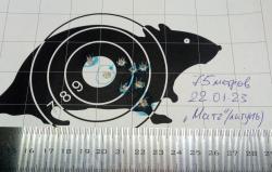 Магазинный карабин ТОЗ-78-01,22lr.+ оптика ПО2-6х39