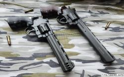 Магнум револьверы Borner Super Sport