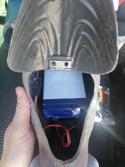 Махокрыл утка