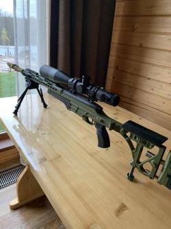 Manliher SSG 69 PII, win243