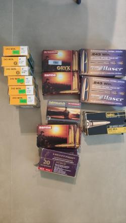 Mannlicher SBS 96 PRO HUNTER STAINLESS