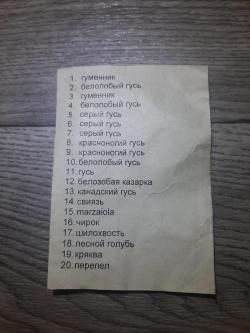 Манок Plurifon