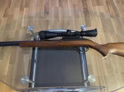 Marlin Model 60, .22 LR