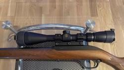 Marlin Model 60, .22 LR