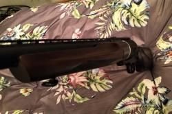 МЦ 255 (КАЛИБР 12)