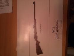 Мелкашка 22L