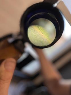 Мелкокалиберный карабин «Соболь»