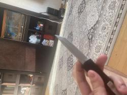 microtech combat troodon 00556